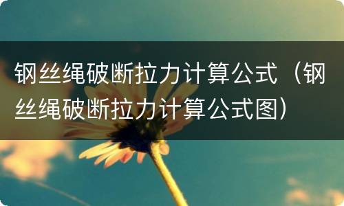 钢丝绳破断拉力计算公式（钢丝绳破断拉力计算公式图）