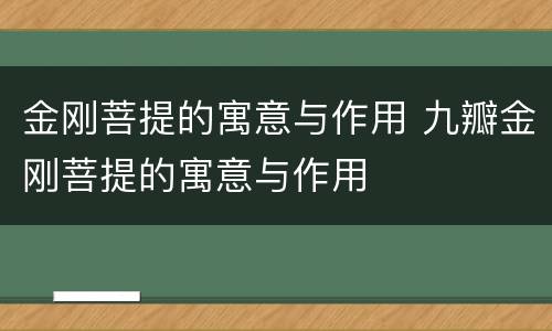 金刚菩提的寓意与作用 九瓣金刚菩提的寓意与作用