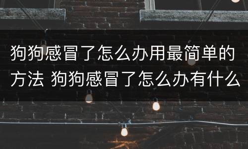 狗狗感冒了怎么办用最简单的方法 狗狗感冒了怎么办有什么办法