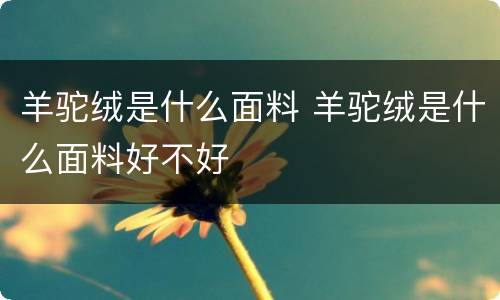 羊驼绒是什么面料 羊驼绒是什么面料好不好