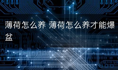 薄荷怎么养 薄荷怎么养才能爆盆