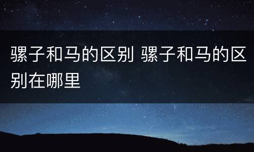 骡子和马的区别 骡子和马的区别在哪里