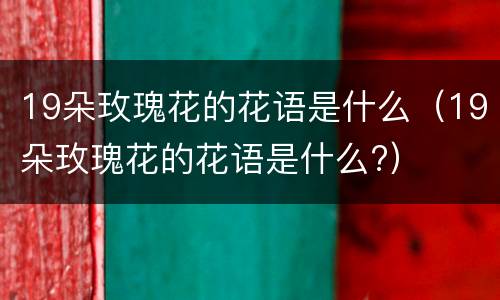 19朵玫瑰花的花语是什么（19朵玫瑰花的花语是什么?）