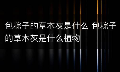 包粽子的草木灰是什么 包粽子的草木灰是什么植物