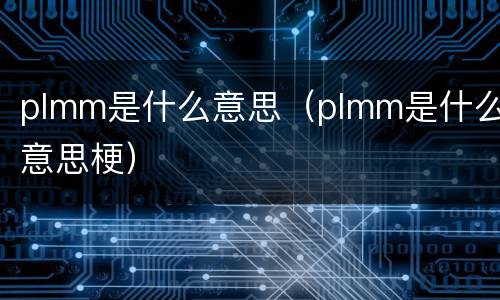 plmm是什么意思（plmm是什么意思梗）