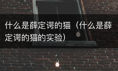 什么是薛定谔的猫（什么是薛定谔的猫的实验）