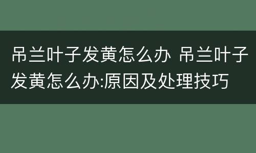 吊兰叶子发黄怎么办 吊兰叶子发黄怎么办:原因及处理技巧