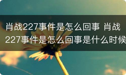 肖战227事件是怎么回事 肖战227事件是怎么回事是什么时候