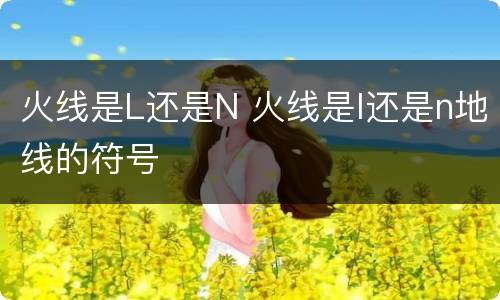 火线是L还是N 火线是l还是n地线的符号