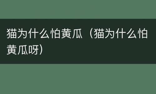 猫为什么怕黄瓜（猫为什么怕黄瓜呀）