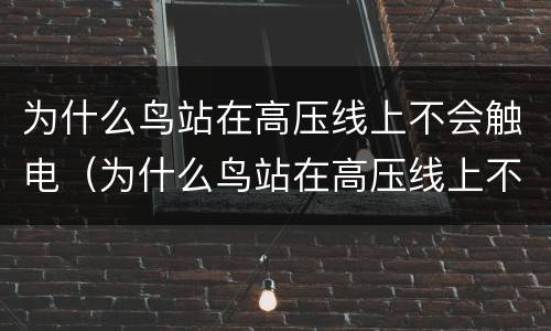 为什么鸟站在高压线上不会触电（为什么鸟站在高压线上不会触电?简单回答）