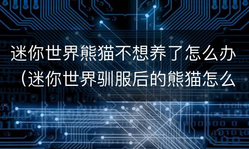 迷你世界熊猫不想养了怎么办（迷你世界驯服后的熊猫怎么不让他跟着）