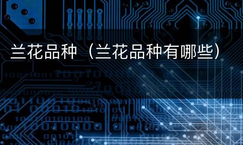 兰花品种（兰花品种有哪些）