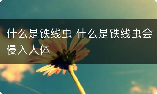 什么是铁线虫 什么是铁线虫会侵入人体