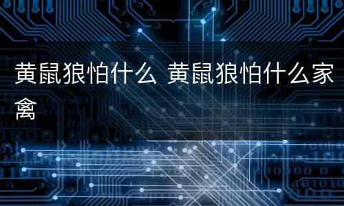 黄鼠狼怕什么 黄鼠狼怕什么家禽