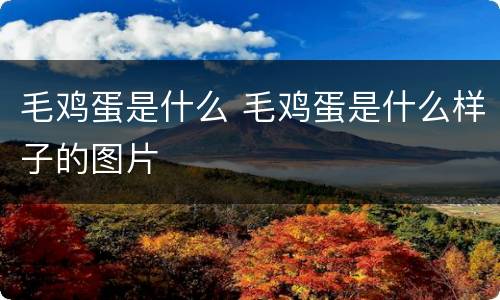毛鸡蛋是什么 毛鸡蛋是什么样子的图片