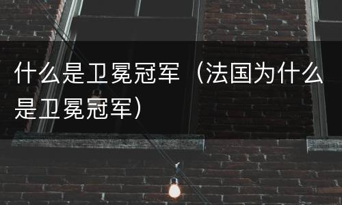 什么是卫冕冠军（法国为什么是卫冕冠军）