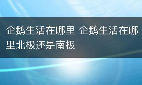 企鹅生活在哪里 企鹅生活在哪里北极还是南极