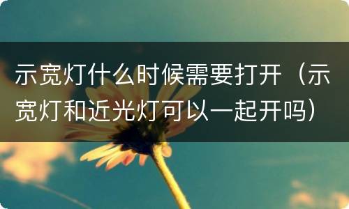 示宽灯什么时候需要打开（示宽灯和近光灯可以一起开吗）