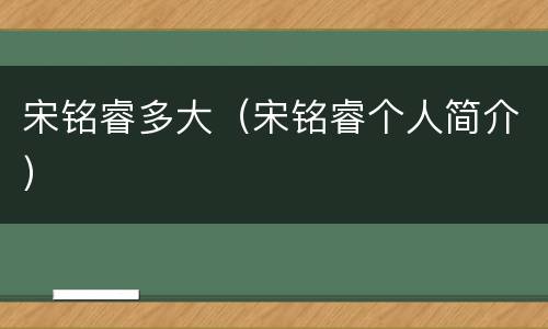 宋铭睿多大（宋铭睿个人简介）