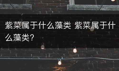 紫菜属于什么藻类 紫菜属于什么藻类?