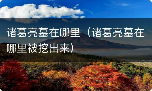 诸葛亮墓在哪里（诸葛亮墓在哪里被挖出来）
