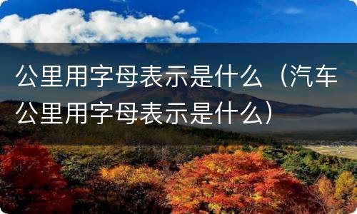 公里用字母表示是什么（汽车公里用字母表示是什么）