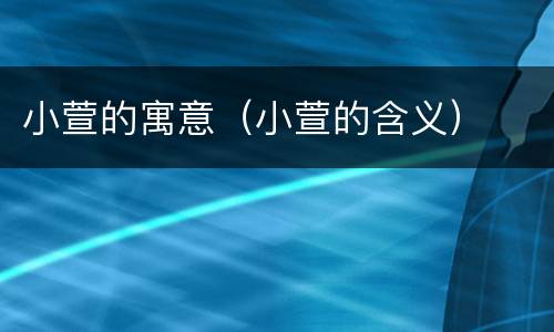 小萱的寓意（小萱的含义）