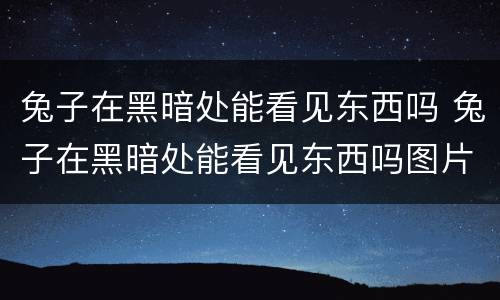 兔子在黑暗处能看见东西吗 兔子在黑暗处能看见东西吗图片