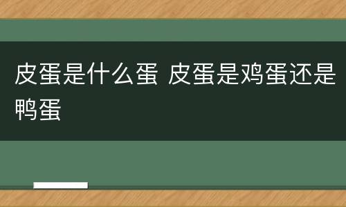 皮蛋是什么蛋 皮蛋是鸡蛋还是鸭蛋
