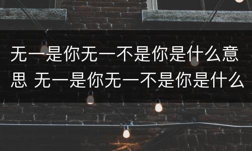 无一是你无一不是你是什么意思 无一是你无一不是你是什么意思?