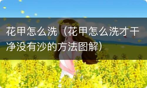 花甲怎么洗（花甲怎么洗才干净没有沙的方法图解）