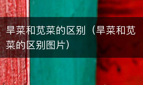 旱菜和苋菜的区别（旱菜和苋菜的区别图片）