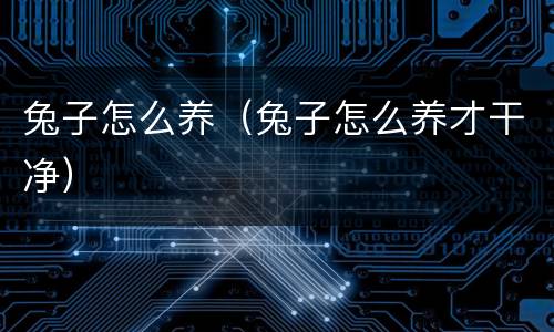 兔子怎么养（兔子怎么养才干净）