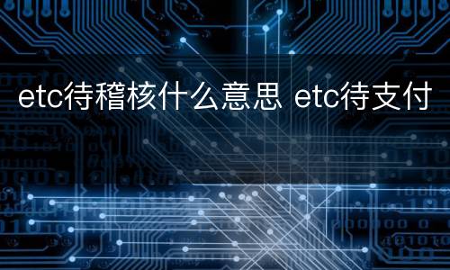 etc待稽核什么意思 etc待支付