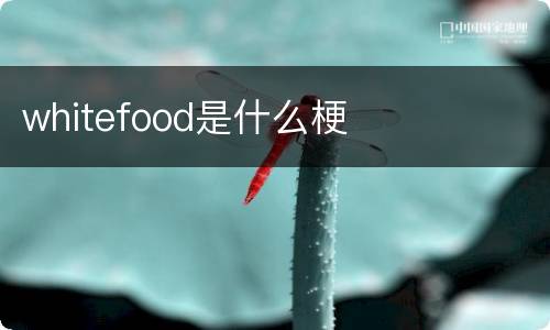 whitefood是什么梗