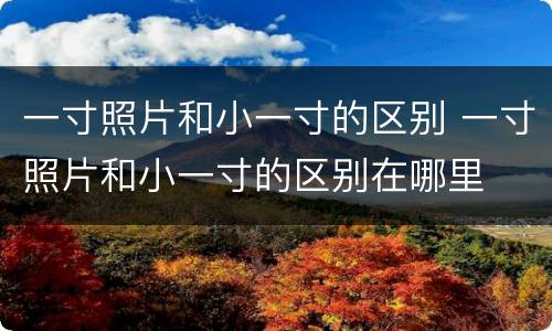一寸照片和小一寸的区别 一寸照片和小一寸的区别在哪里