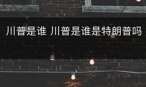 川普是谁 川普是谁是特朗普吗