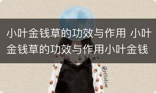 小叶金钱草的功效与作用 小叶金钱草的功效与作用小叶金钱草的归经