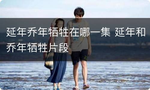 延年乔年牺牲在哪一集 延年和乔年牺牲片段