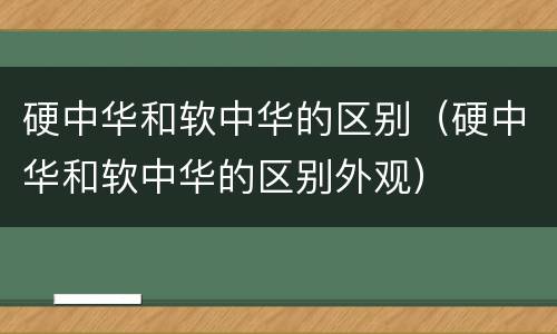 硬中华和软中华的区别（硬中华和软中华的区别外观）
