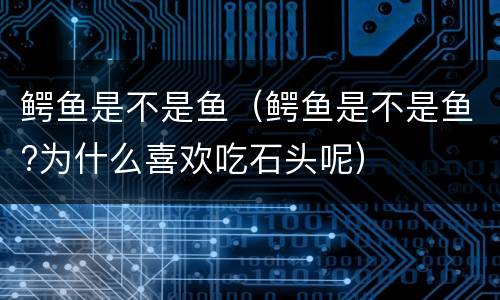 鳄鱼是不是鱼（鳄鱼是不是鱼?为什么喜欢吃石头呢）