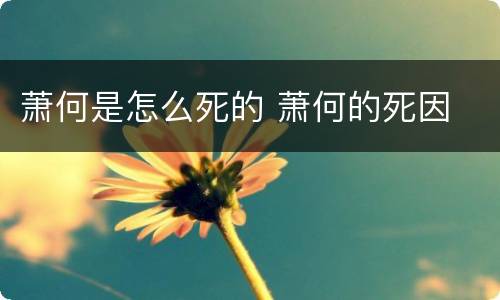 萧何是怎么死的 萧何的死因