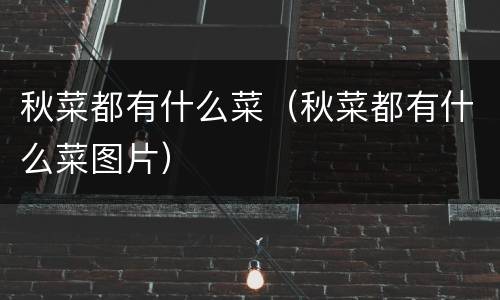 秋菜都有什么菜（秋菜都有什么菜图片）
