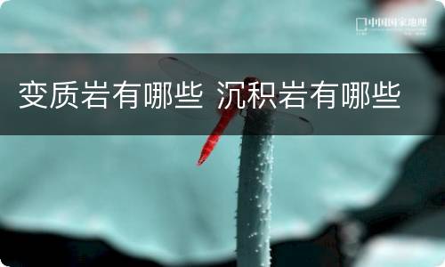 变质岩有哪些 沉积岩有哪些