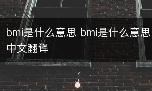 bmi是什么意思 bmi是什么意思中文翻译