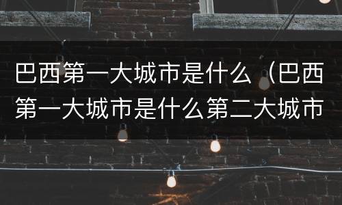 巴西第一大城市是什么（巴西第一大城市是什么第二大城市是什么）