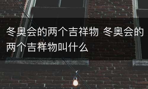 冬奥会的两个吉祥物 冬奥会的两个吉祥物叫什么