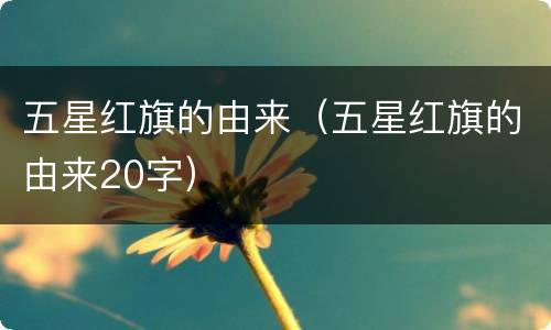 五星红旗的由来（五星红旗的由来20字）