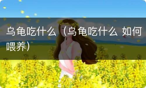 乌龟吃什么（乌龟吃什么 如何喂养）